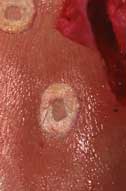 Cour ce h�ros