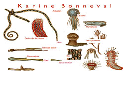 Karyne Bonneval