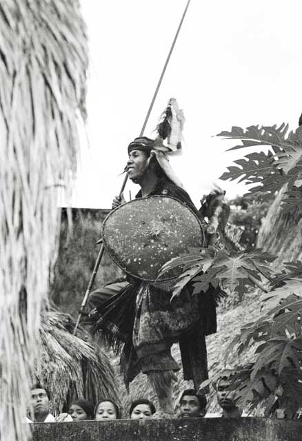 Sumba 2008